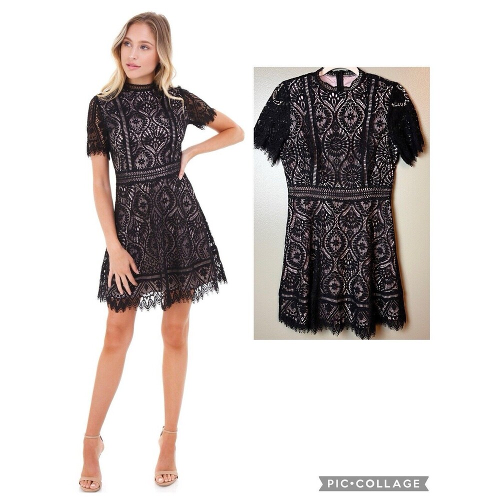 Steve Madden BB Dakota On The List Black Lace Scalloped Dress Sz 6 Revolve